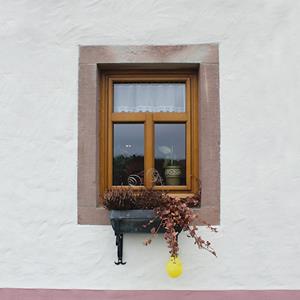 holz-fenster renovierung - Holz-Fenster